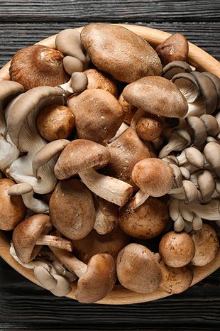 Assorted Mushrooms