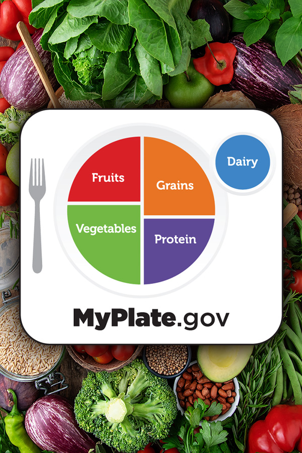 A plate showing the nutritional proportions for your food groups