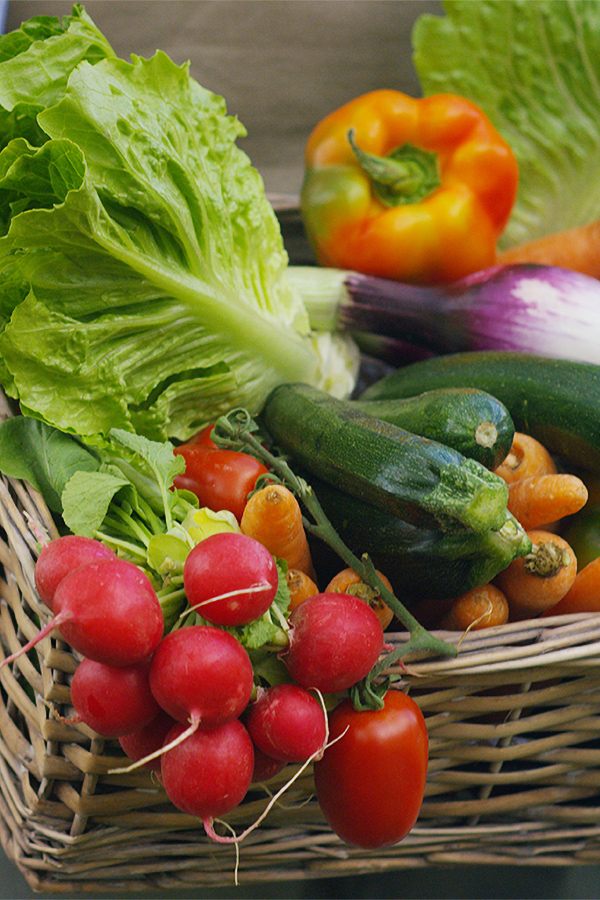 Fresh Veggies in a Basket